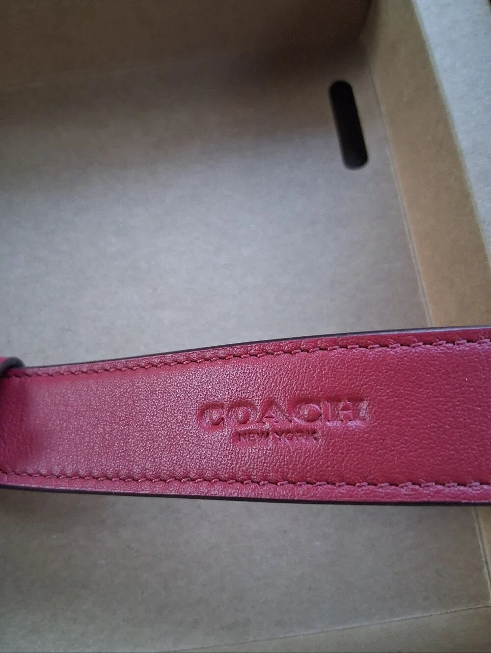 Coach Dog Collar